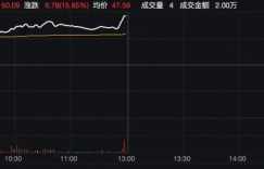 A-share Diverges, Memory Chip Sector Rallies Sharply